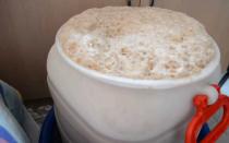 Kāpēc fermentācijas laikā biezenis putas?