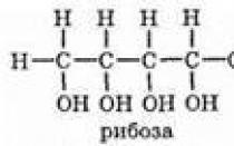 Monosakarida: ribosa, deoksiribosa, glukosa, fruktosa