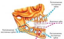 Dentition des molaires chez les enfants : symptômes