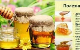Utilisation du miel à des fins médicinales Comment manger du miel à des fins médicinales